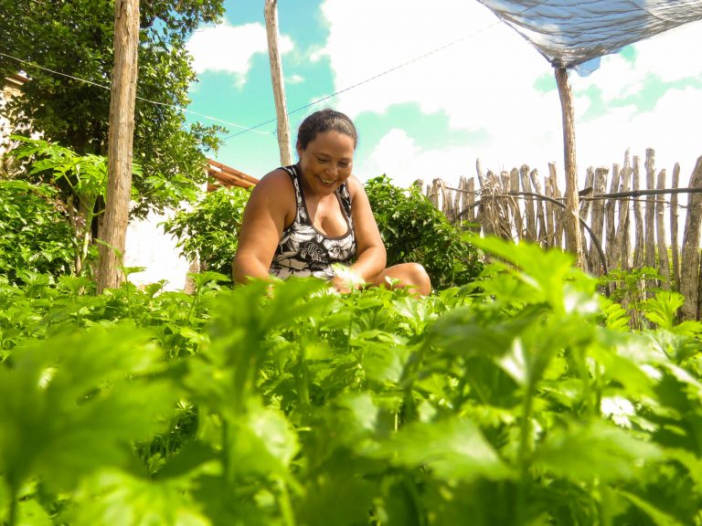 Sertão Central recebe seminários sobre agricultura familiar