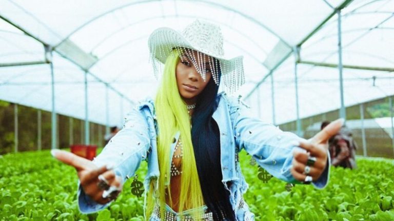 Em nova música, Ludmilla dispara “Tô vendendo a grama da verdinha a um real”