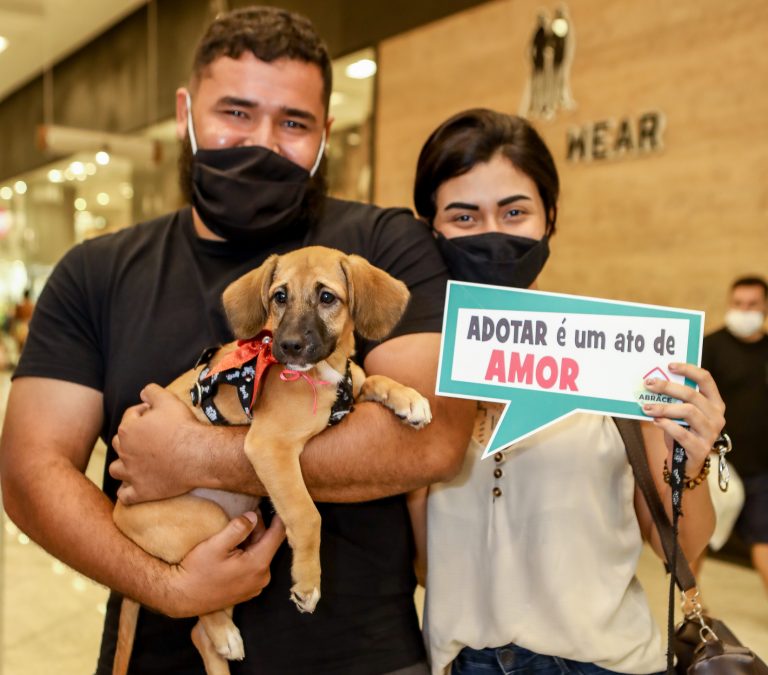 Shopping de Fortaleza realiza feira de adoção e sessão de fotos para pets