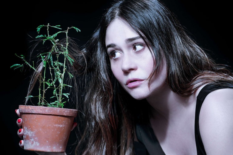 Alessandra Negrini apresenta solo escrito por Silvia Gomez em Fortaleza