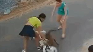 Pitbull foge de casa e ataca mulher e três cães em Ubajara